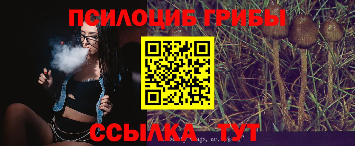 Галлюциногенные грибы ЛСД Коркино