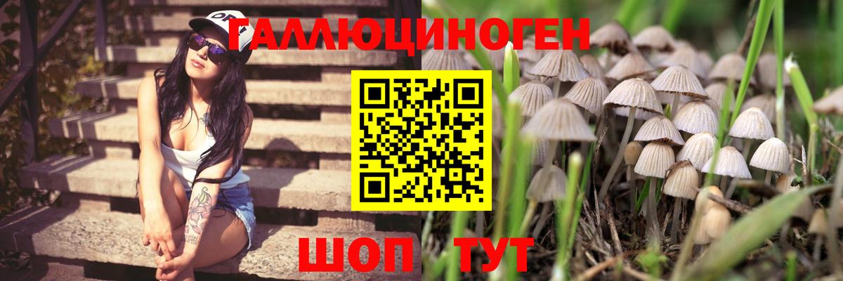 Псилоцибиновые грибы Magic Shrooms  Вход с VPN  Коркино 